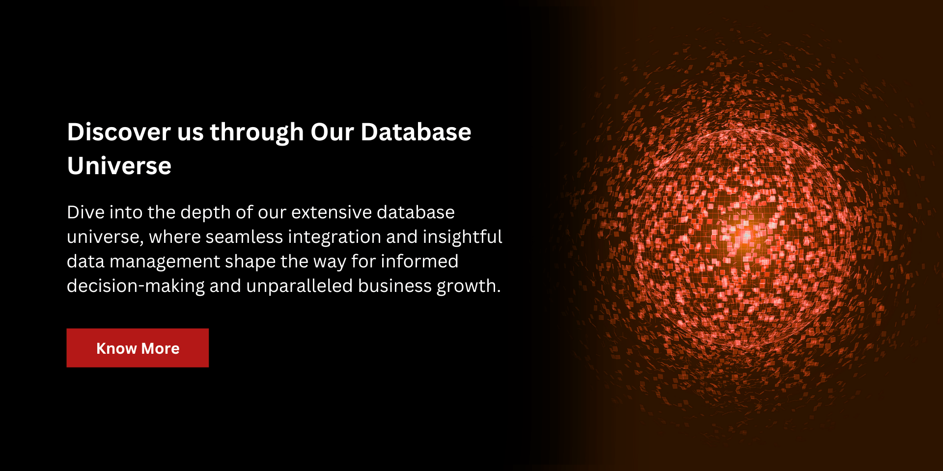 b2b-database-universe
