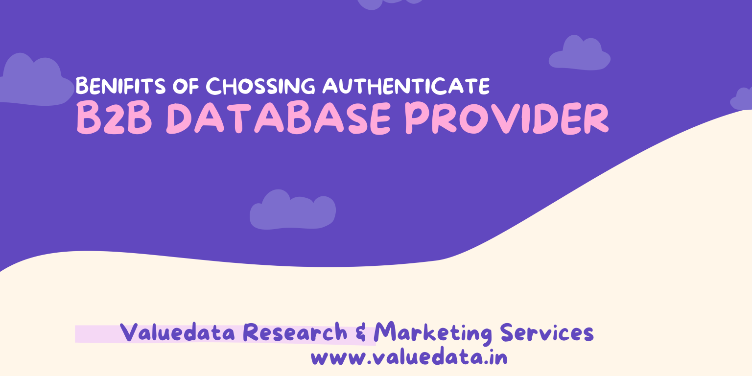 Benefits of choosing authenticate B2B Database Provider