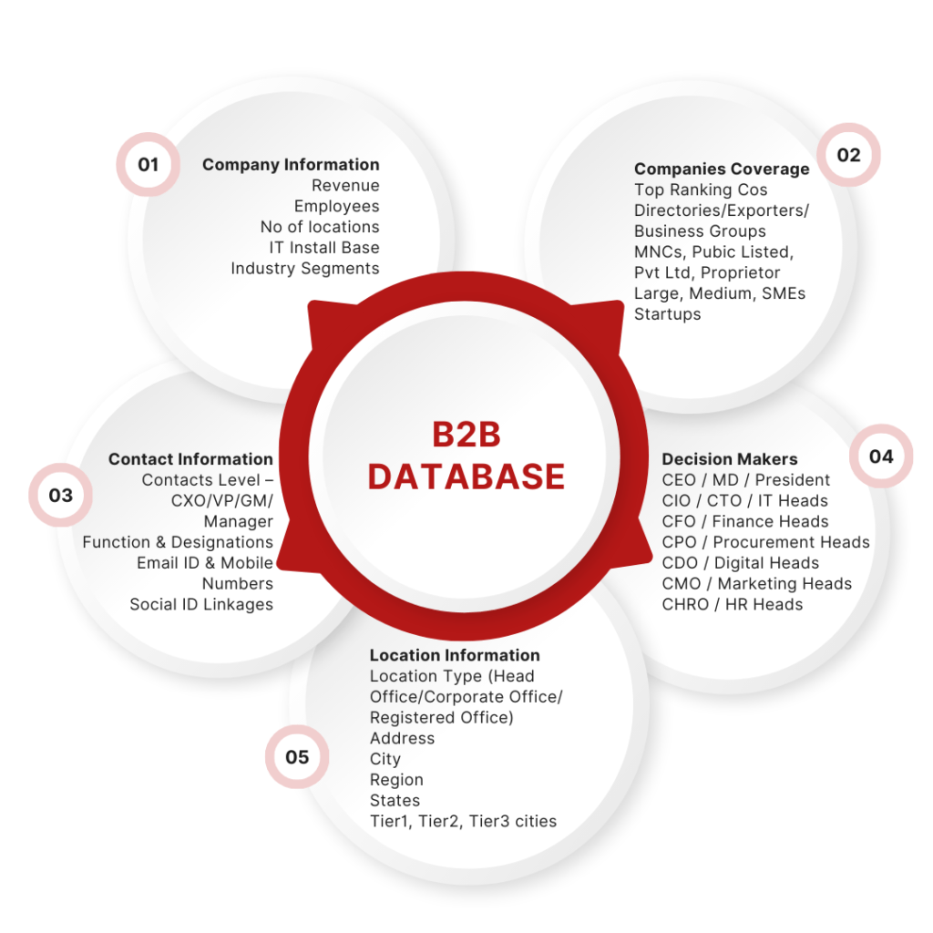 B2B_Database-Profiling