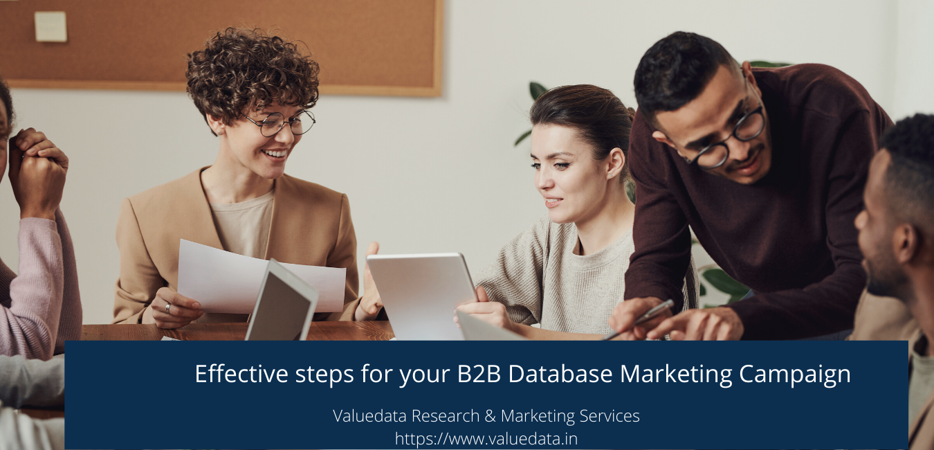 Effective steps for your B2B Database Marketing Campaign